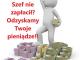 windykacja_europejska_bez_oplat_wst