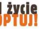 ocal_zycie_adoptuj_bullowatego_prze