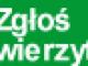 dluznikom_stop_zawsze_odzyskujemy_s