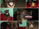 kalvin_pies_marzenie_sport_to_jego_