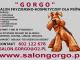 strzyzenie_psow_w_salonie_lub_w_dom
