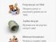 blyskawiczna_pozyczka_w_3_krokach